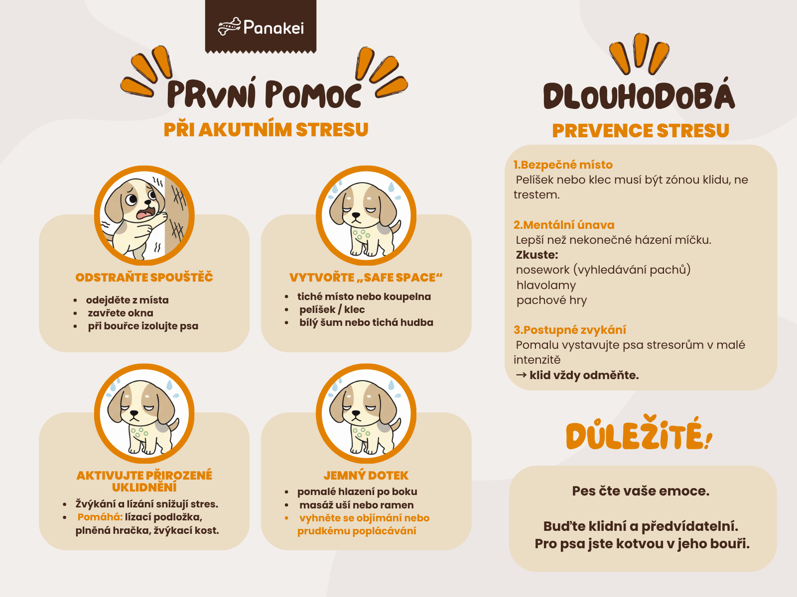 prvni-pomoc-konejsive-signaly